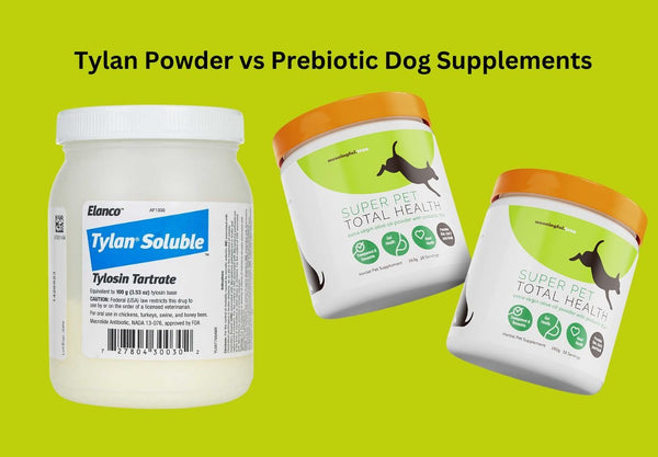 Tylan Powder vs. Prebiotic & Probiotic Supplements: A Cost-Effective Comparison