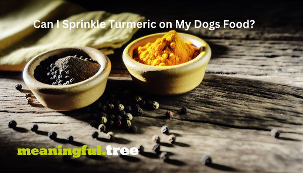 Can I Sprinkle Turmeric on My Dogs Food? Exploring the Benefits and Tips