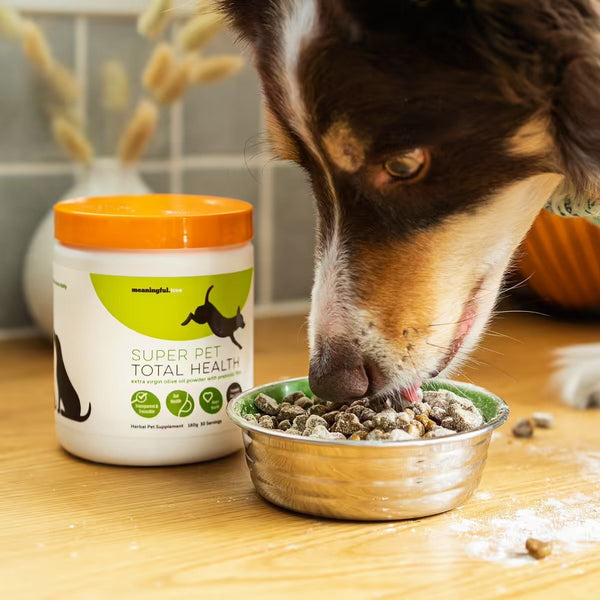 Super Pet Total Health powder sprinkled on dog food
